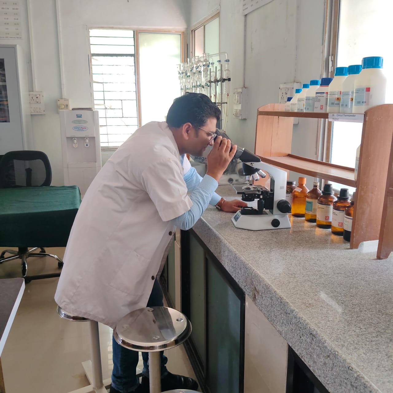 Physiology Gallery (5)